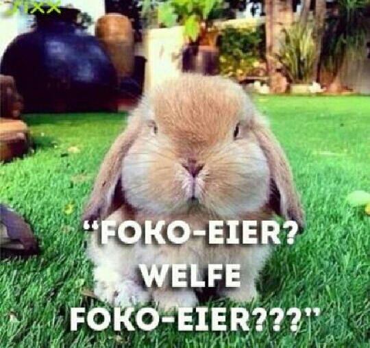 Mehr über den Artikel erfahren Ostereierschießen